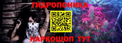 шишки Татарск