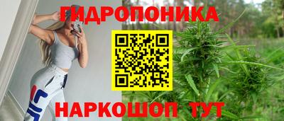 шишки Татарск