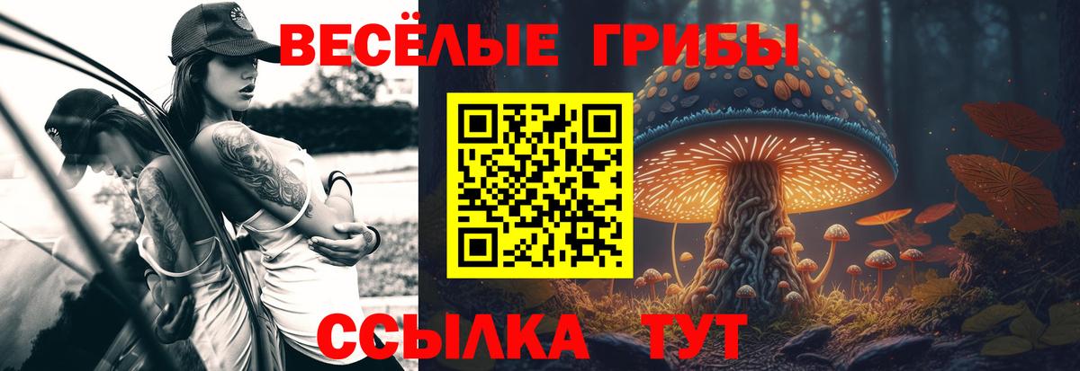 Иркутск  Галлюциногенные грибы MAGIC MUSHROOMS  Псилоцибиновые грибы Psilocybine cubensis  Вход с VPN 