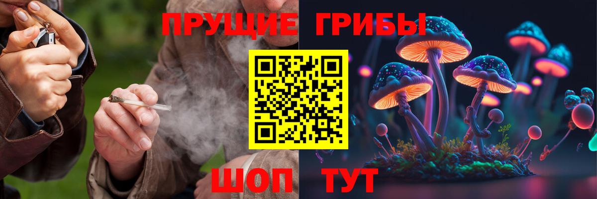 Псилоцибиновые грибы Psilocybine cubensis Иркутск